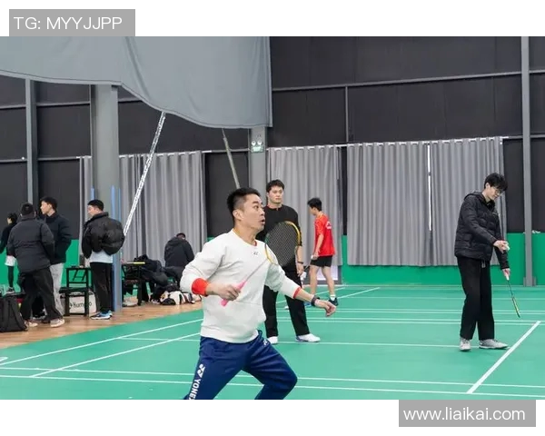 羽毛球赛事裁判公正性及争议事件